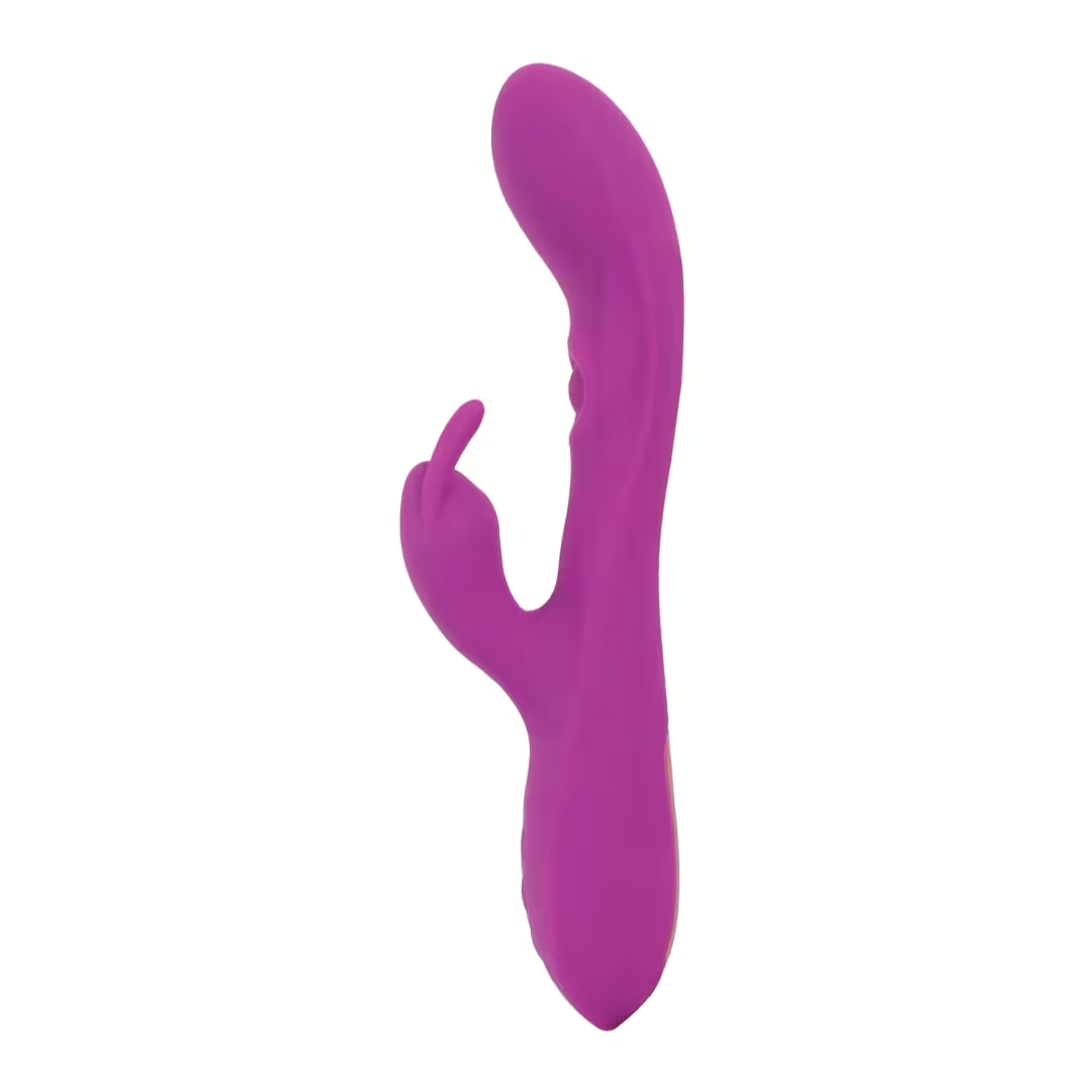 Thumping Rabbit vibratorius